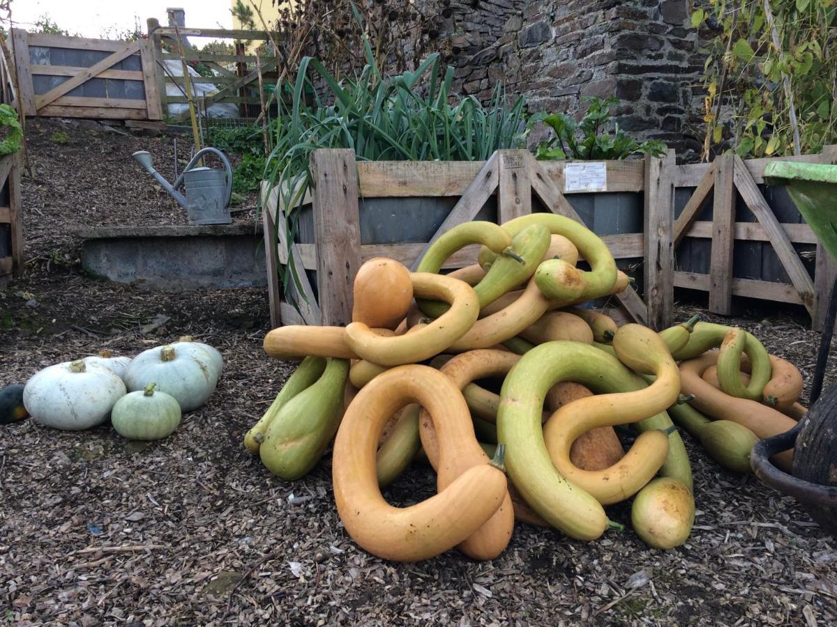 Little Torrington Frizenham Farmhouse מראה חיצוני תמונה