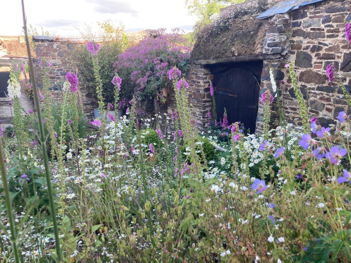 Little Torrington Frizenham Farmhouse מראה חיצוני תמונה